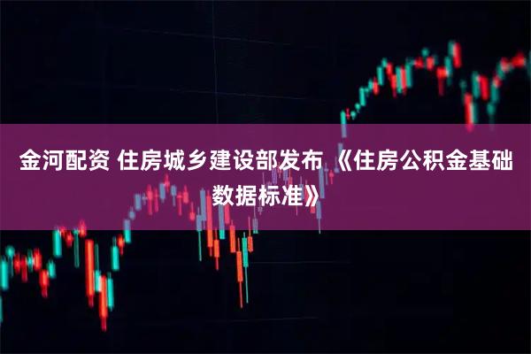 金河配资 住房城乡建设部发布 《住房公积金基础数据标准》