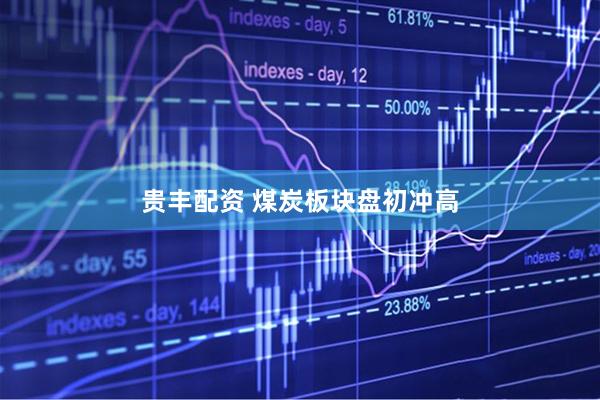 贵丰配资 煤炭板块盘初冲高