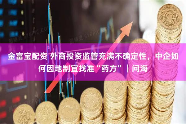 金富宝配资 外商投资监管充满不确定性,中企如何因地制宜找准“药方”|问海