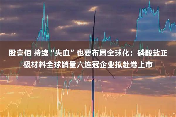 股壹佰 持续“失血”也要布局全球化：磷酸盐正极材料全球销量六连冠企业拟赴港上市