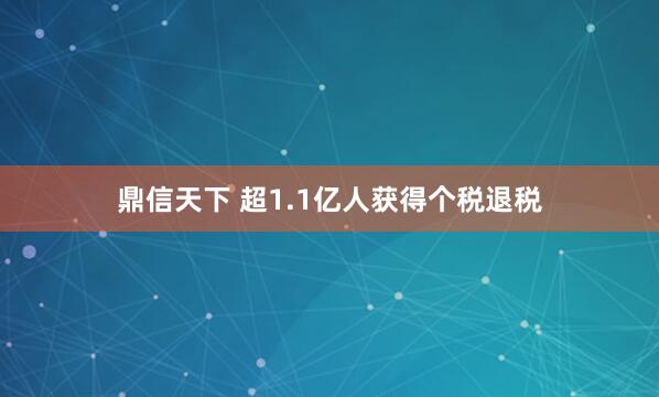 鼎信天下 超1.1亿人获得个税退税
