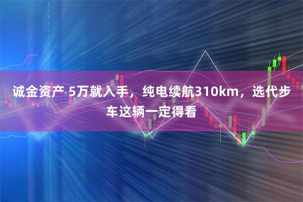 诚金资产 5万就入手，纯电续航310km，选代步车这辆一定得看