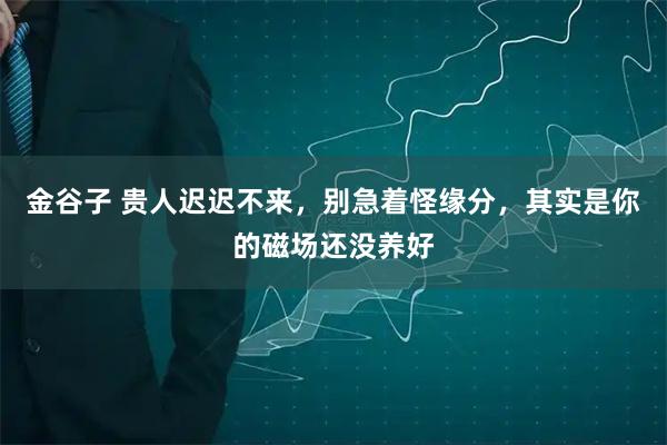 金谷子 贵人迟迟不来,别急着怪缘分,其实是你的磁场还没养好