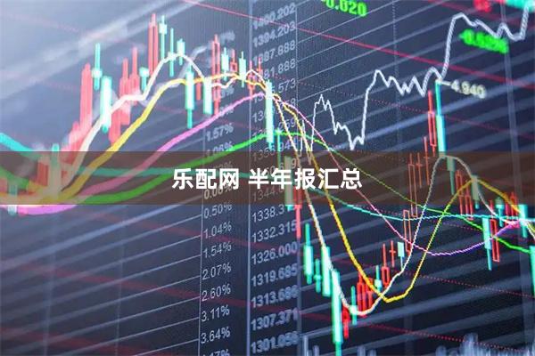 乐配网 半年报汇总
