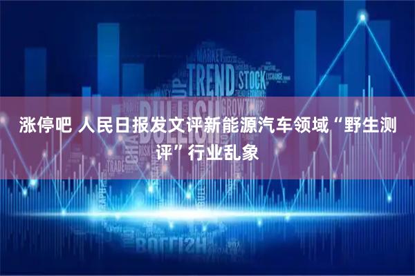 涨停吧 人民日报发文评新能源汽车领域“野生测评”行业乱象