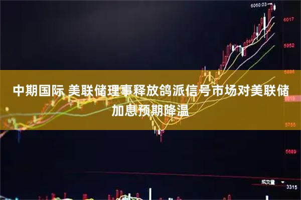 中期国际 美联储理事释放鸽派信号市场对美联储加息预期降温
